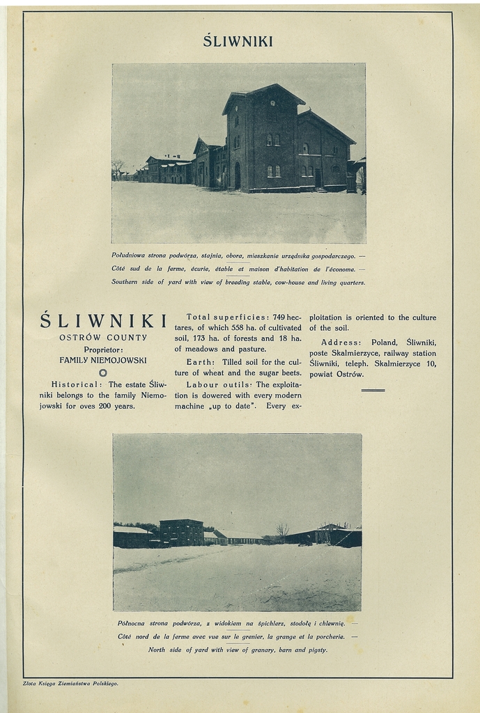 194 sliwniki.jpg